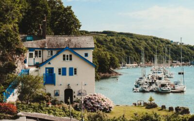 No Mow May: A Practical Approach to Greener Commercial Sites in Cornwall