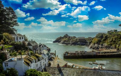 Keeping Commercial Sites Green Without Wasting Water in Cornwall